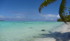 Atoll de Tetiaroa (POL) - 9 Sept 2011 
