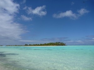 Atoll de Tetiaroa, île aux oiseaux