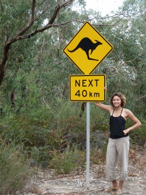 Des kangourous sur 40km ? Mieux vaut conduire de jour et avec prudence !